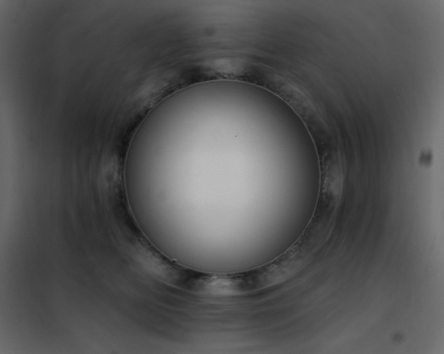 X0000102530518200808081455