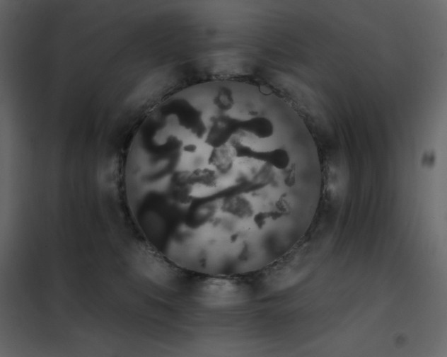 X0000102530519200808081455