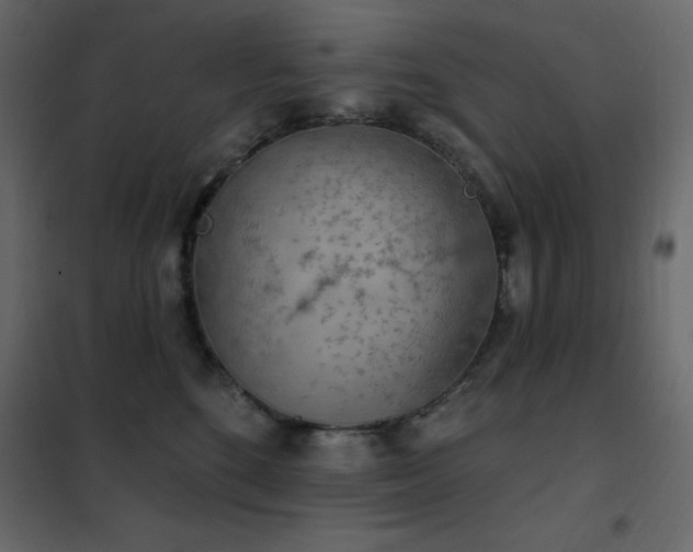 X0000102530520200808081455
