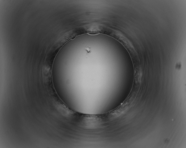 X0000102530521200808081455