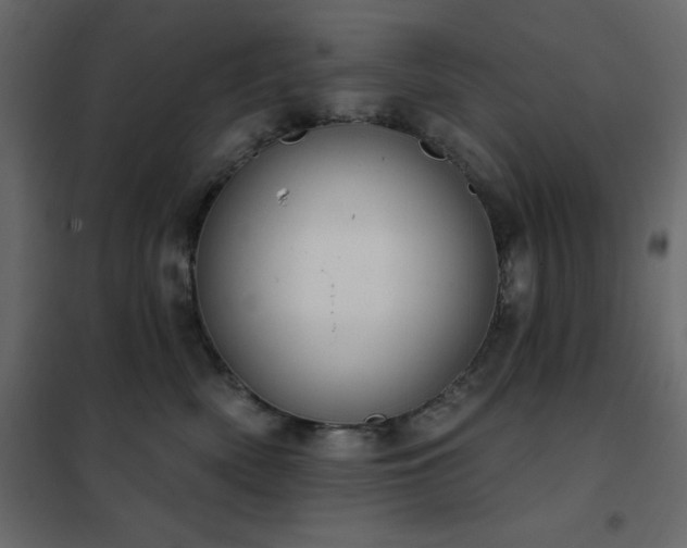 X0000102530522200808081455