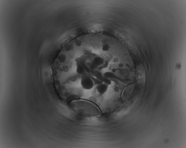 X0000102530523200808081455
