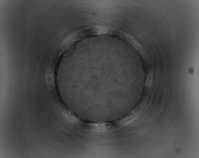 X0000102530524200808081455
