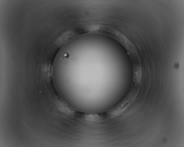 X0000102530525200808081455