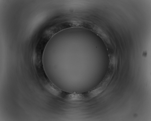 X0000102530526200808081455