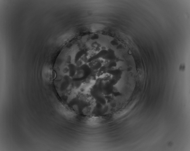 X0000102530527200808081455