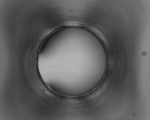 X0000102530529200808081454