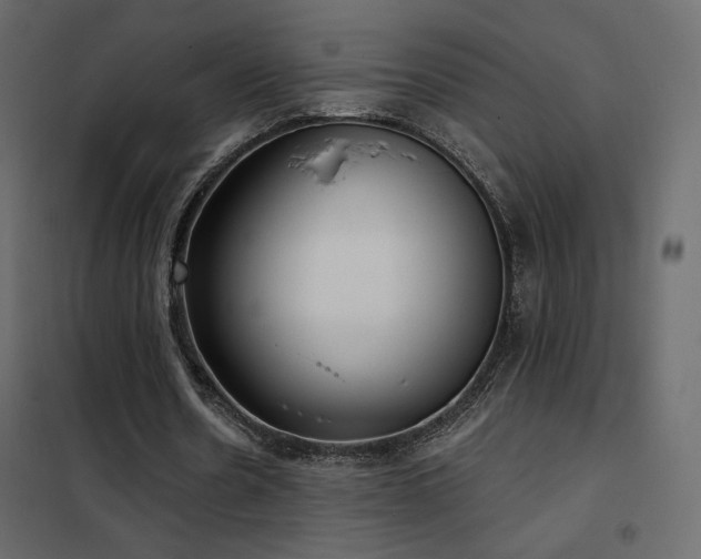 X0000102530530200808081454