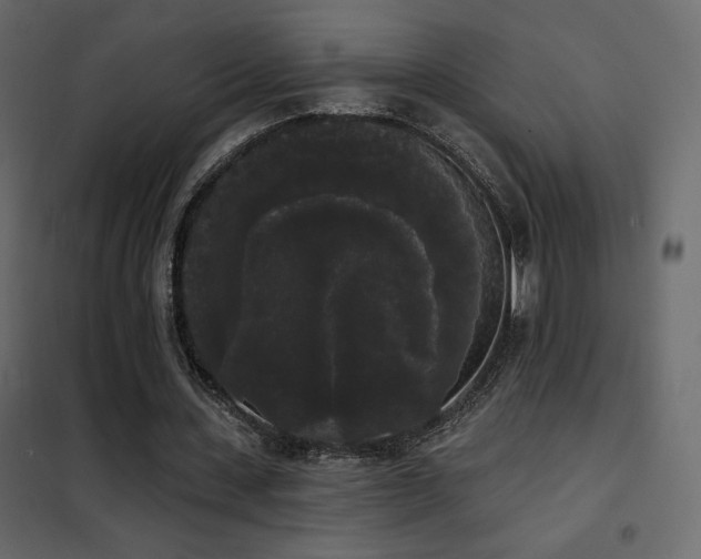 X0000102530531200808081454