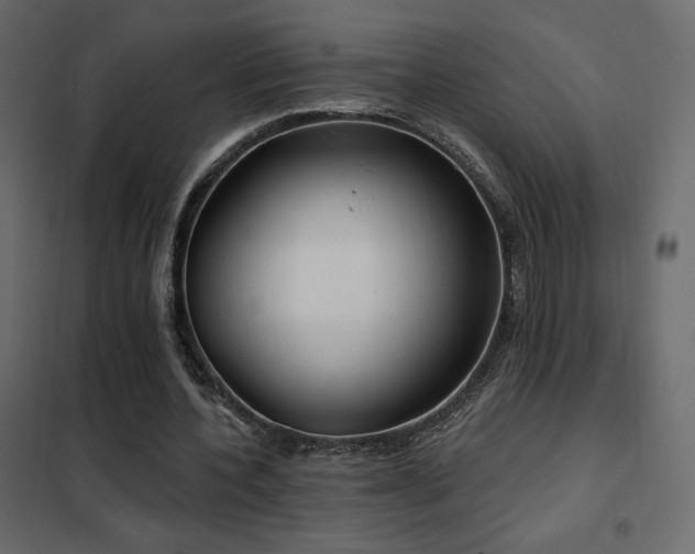 X0000102530532200808081454
