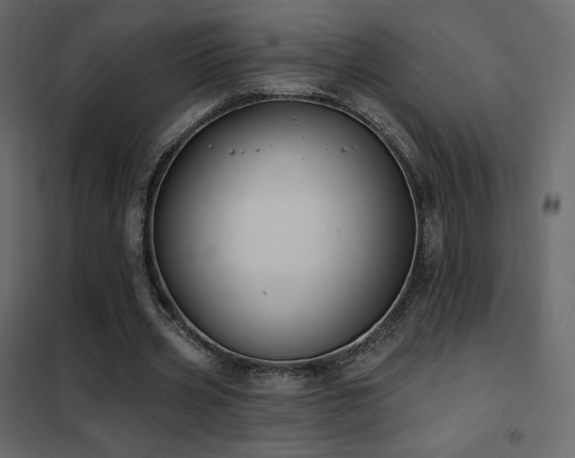 X0000102530533200808081454