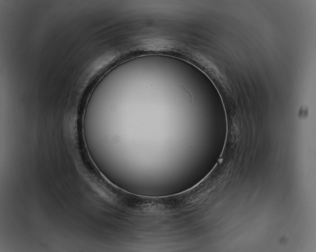 X0000102530535200808081454
