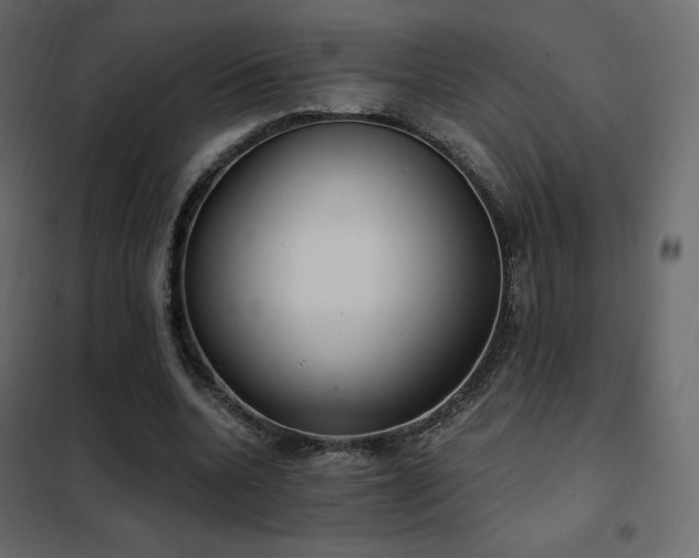 X0000102530536200808081454