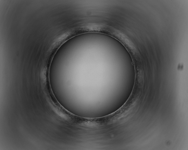 X0000102530537200808081454