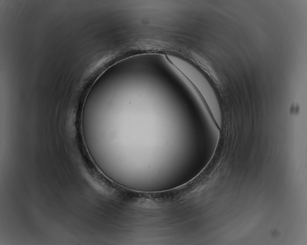 X0000102530538200808081454