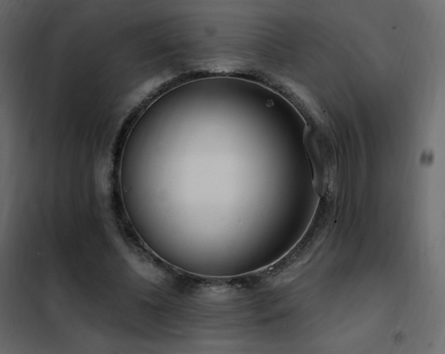 X0000102530540200808081454