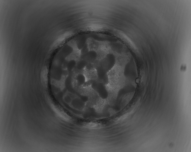 X0000102530542200808081454