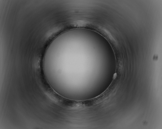 X0000102530543200808081454