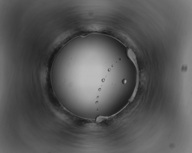 X0000102530544200808081454