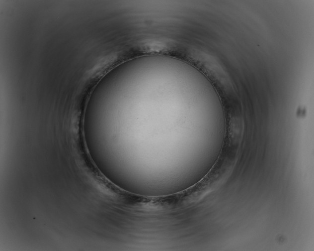 X0000102530545200808081454