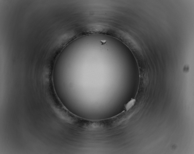 X0000102530546200808081454