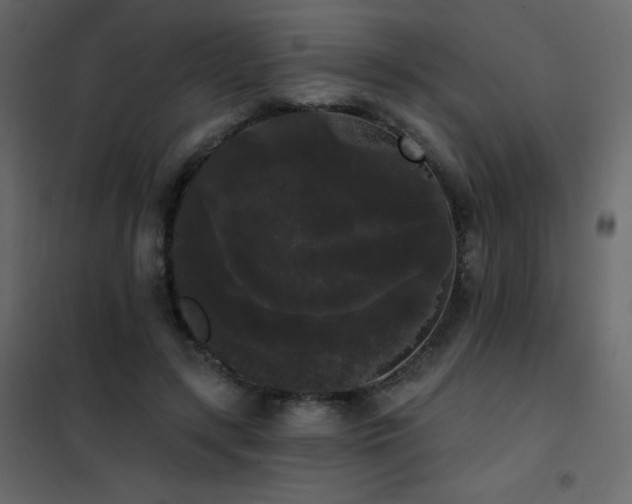 X0000102530547200808081454