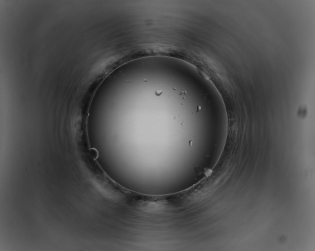 X0000102530548200808081454