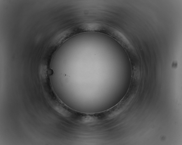 X0000102530549200808081454