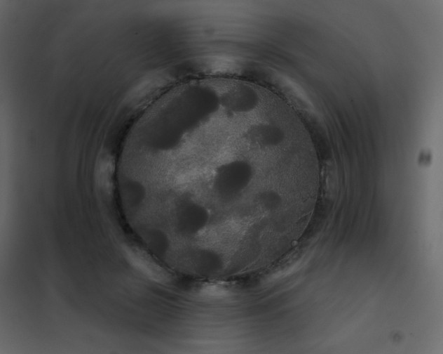 X0000102530550200808081454