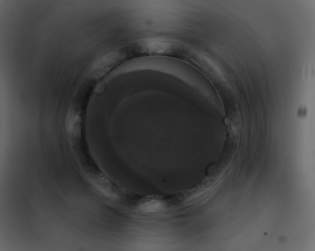 X0000102530551200808081454