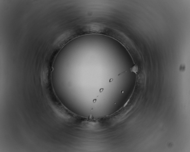 X0000102530552200808081454