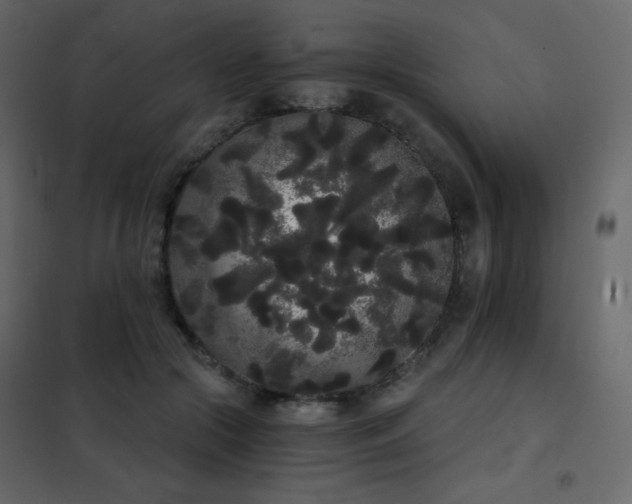 X0000102530553200808081454