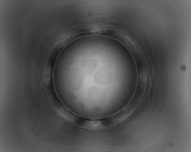 X0000102530554200808081454
