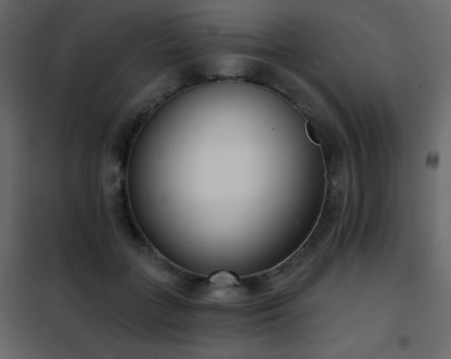 X0000102530555200808081454
