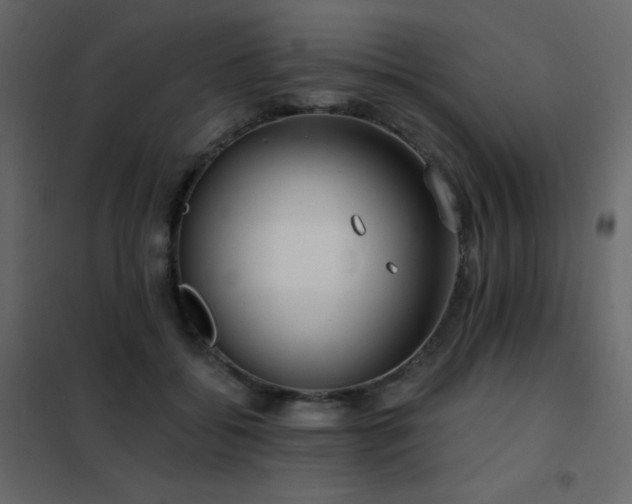 X0000102530556200808081454