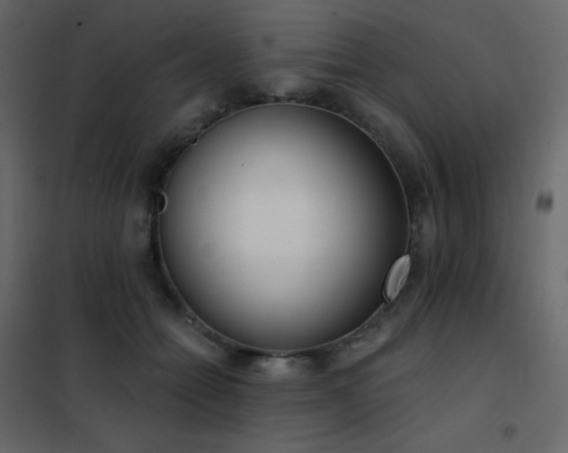 X0000102530558200808081454