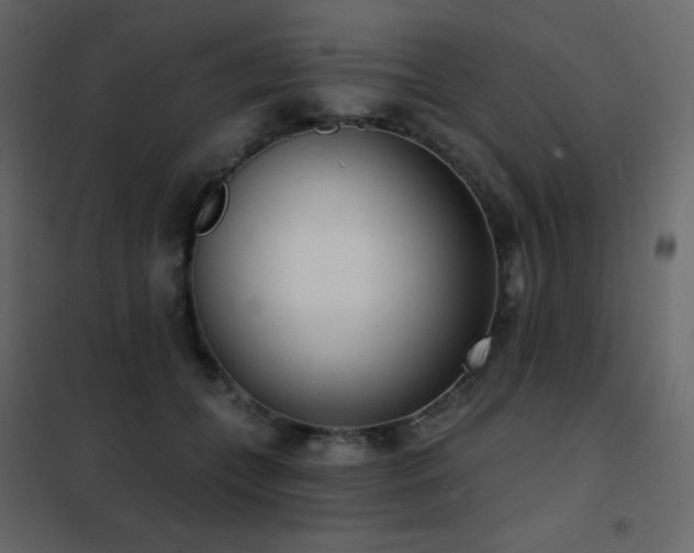X0000102530559200808081454