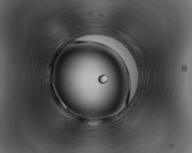 X0000102530560200808081454