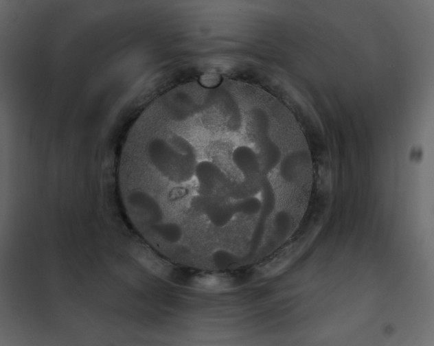 X0000102530561200808081454