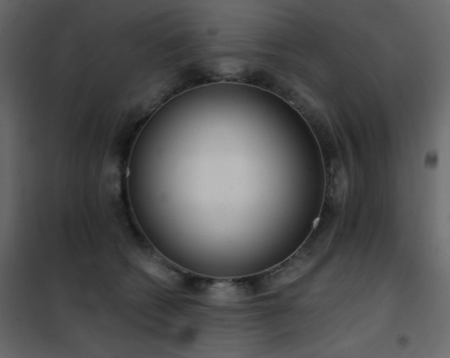 X0000102530562200808081454