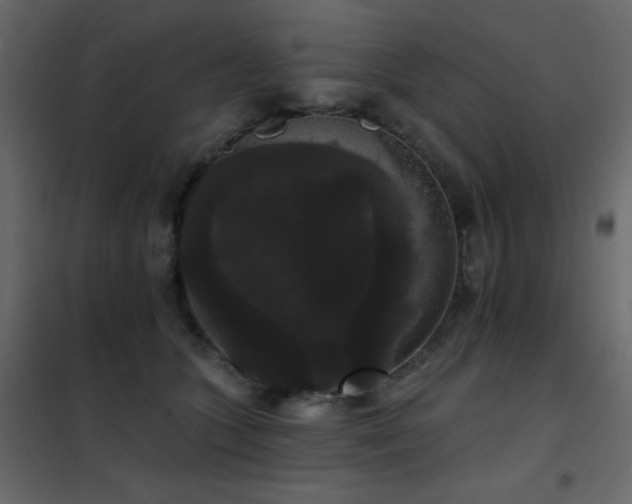 X0000102530563200808081454
