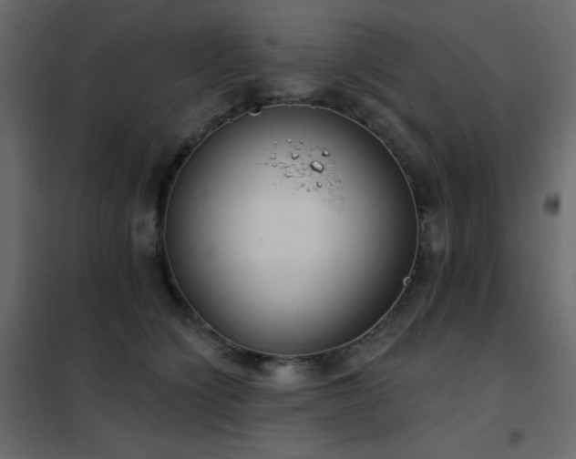 X0000102530564200808081454