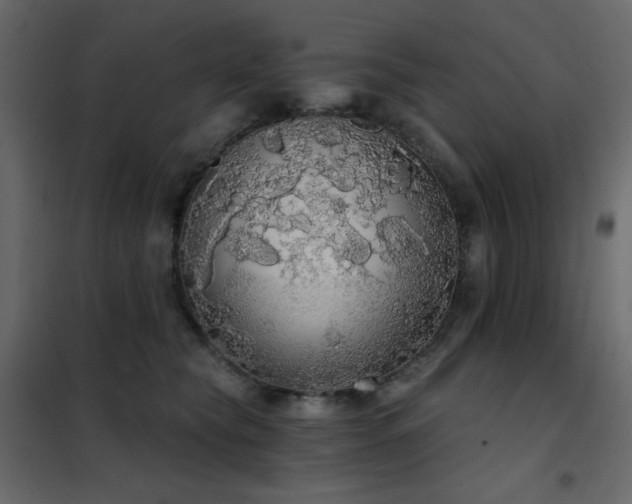 X0000102530565200808081454