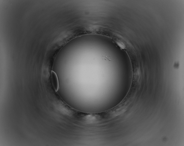 X0000102530566200808081454
