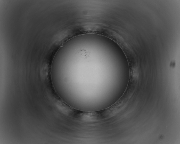 X0000102530567200808081454