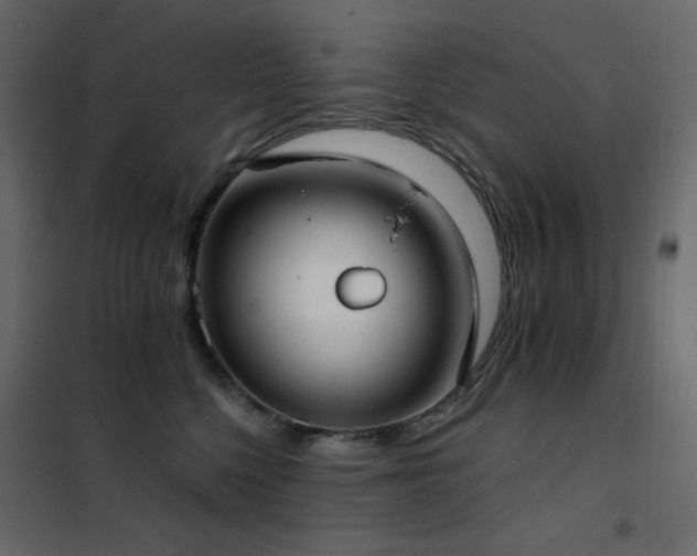 X0000102530568200808081454