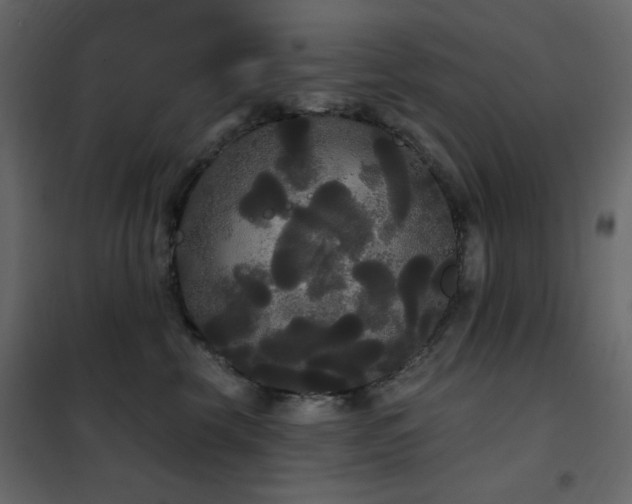 X0000102530569200808081454