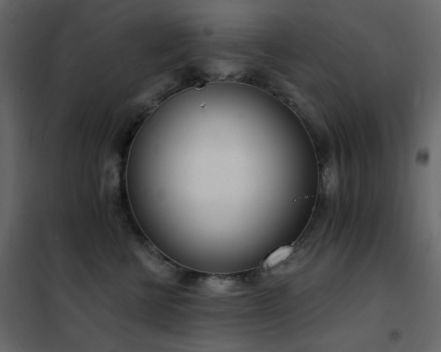 X0000102530570200808081454