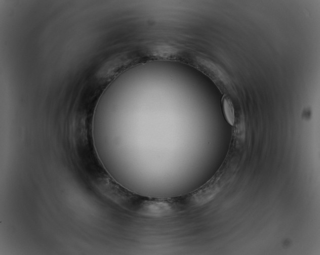 X0000102530572200808081454