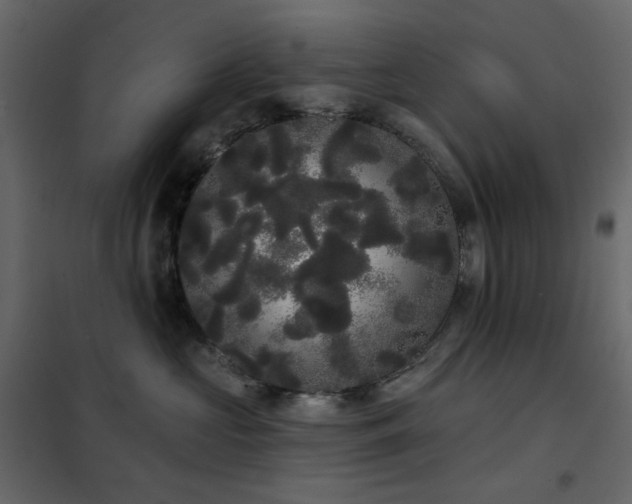X0000102530573200808081454